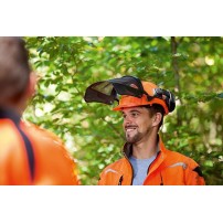 Casque Function Basic Stihl