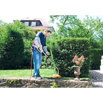 stihl fse 71